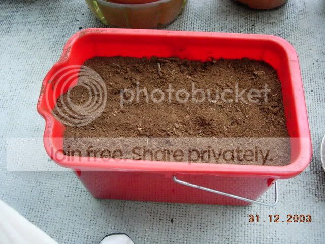 DSCN3395.jpg