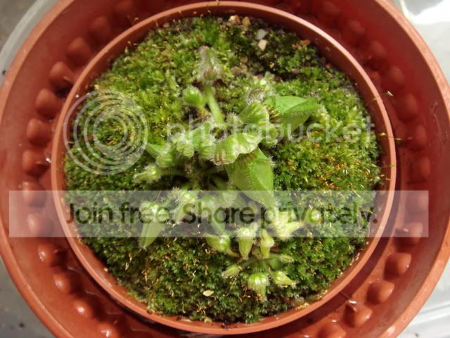 ceph_repot1.jpg