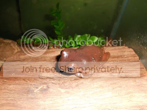 Sherman_5-17-11.jpg