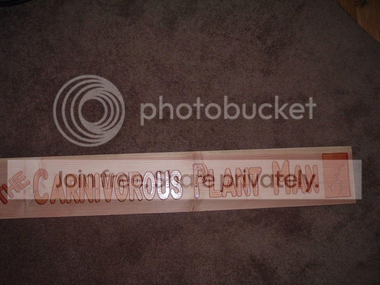 DSCF2426.jpg