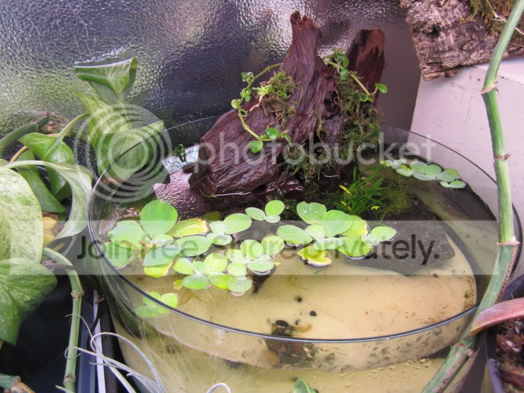 IMG_1702_zps8d634970.jpg