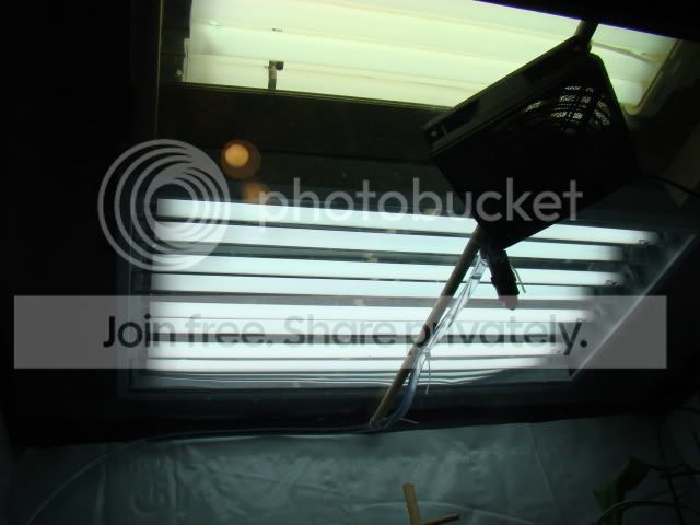 CPs060.jpg