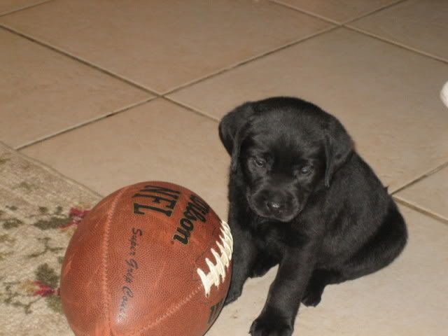 meandpuppy4.jpg