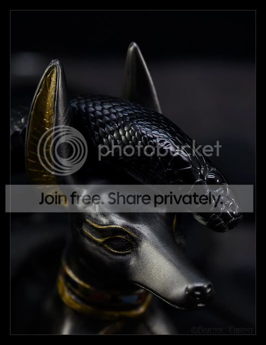 KingAnubisHeadGood_0856.jpg
