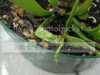 DSCN0549.jpg