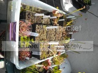 DSCN0261-2.jpg