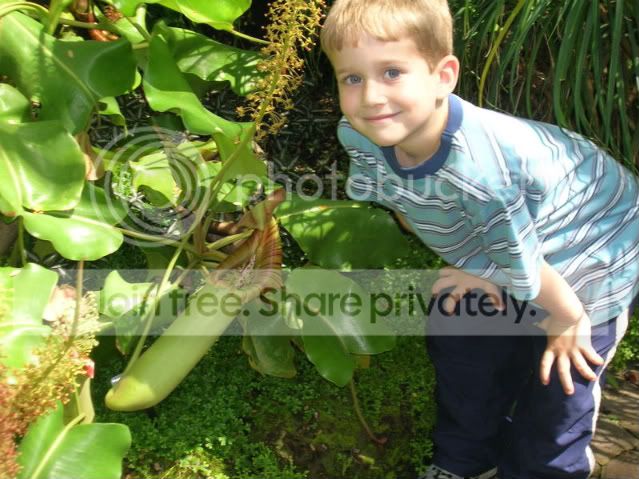 DSCN0404.jpg