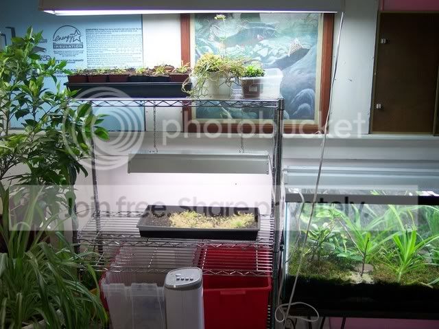 100_1370.jpg