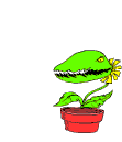 Animatedflytrap.gif
