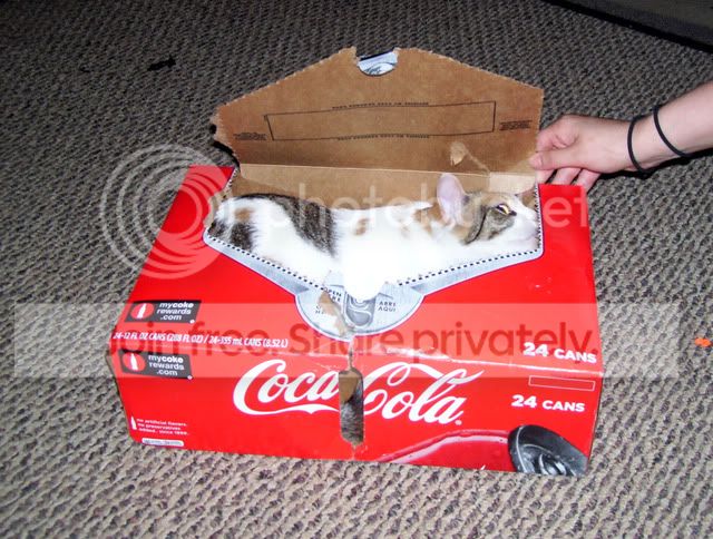 100_3920.jpg
