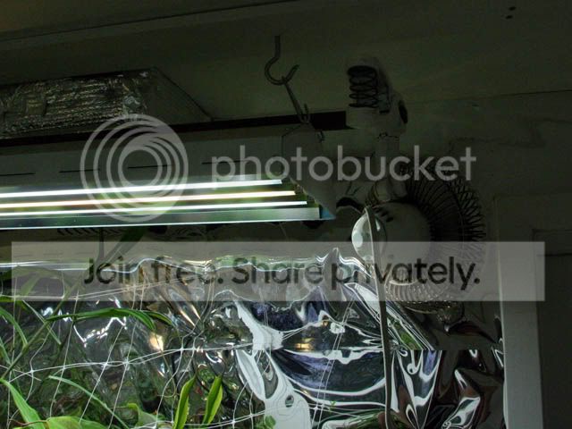 Growroom6.jpg