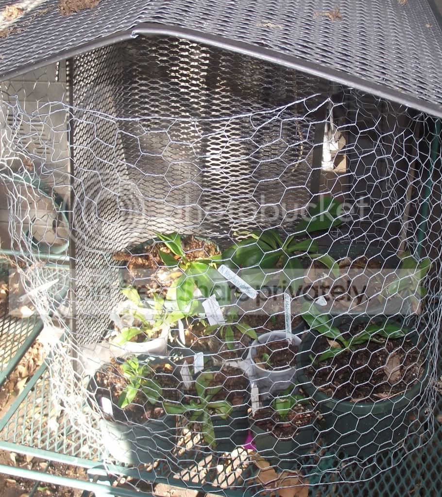 DSCF7943.jpg
