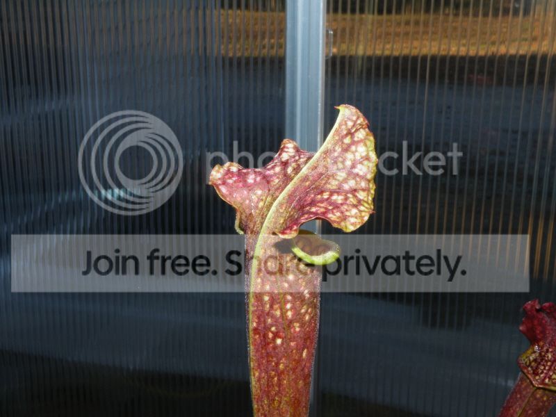 DSCF9625.jpg
