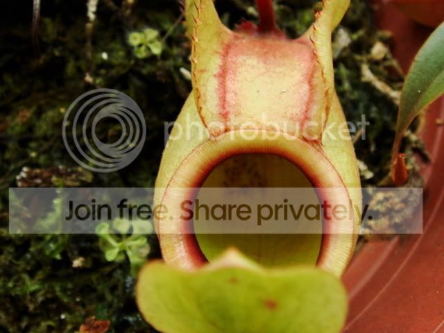 globusa1.jpg
