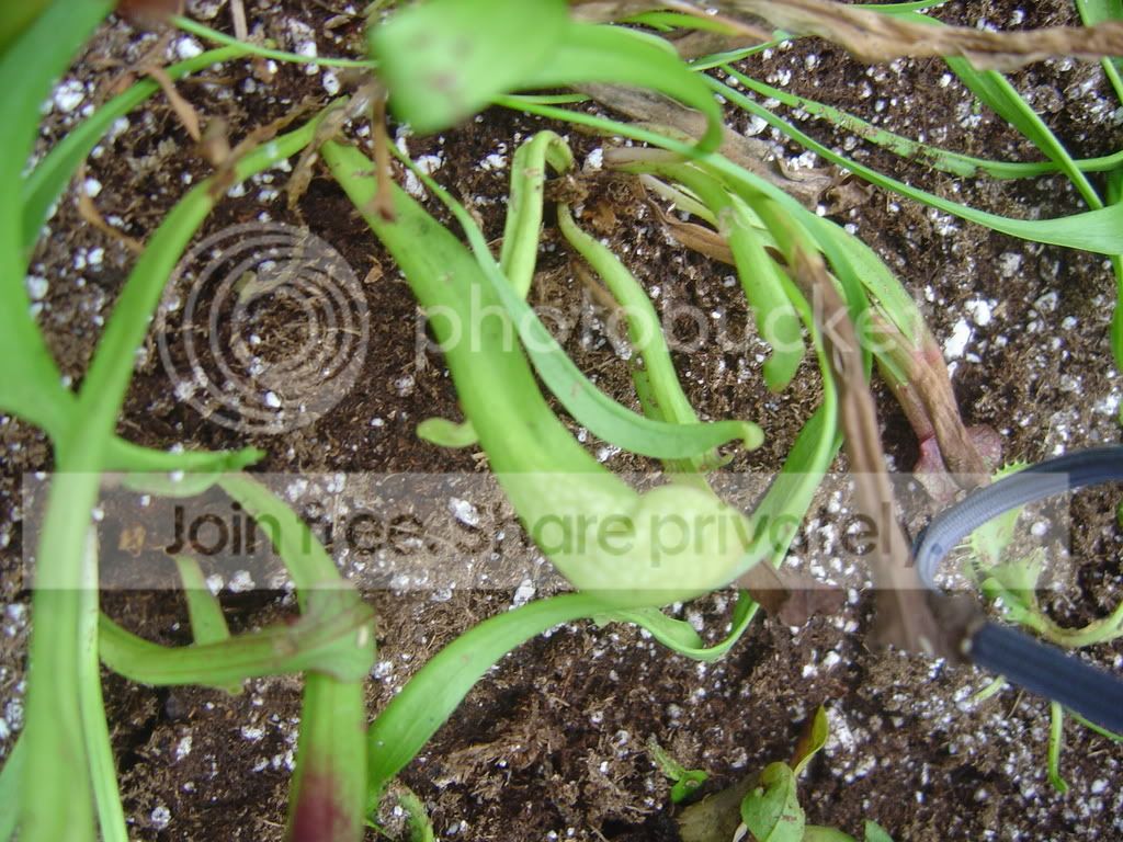 CPs5-7-08004.jpg