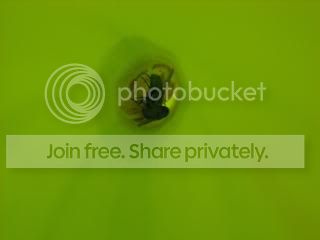 DSCN0279-2.jpg
