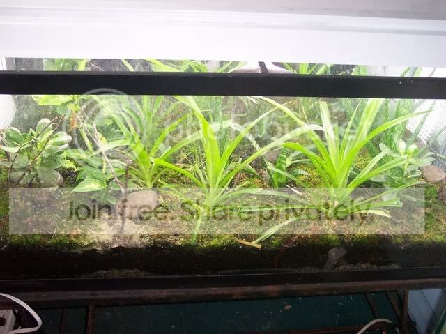100_1400.jpg