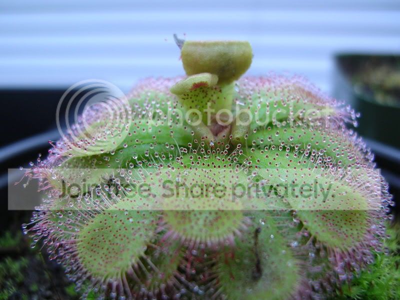 dscn2570.jpg