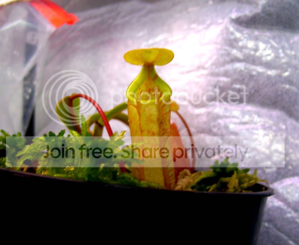 100_6572.jpg