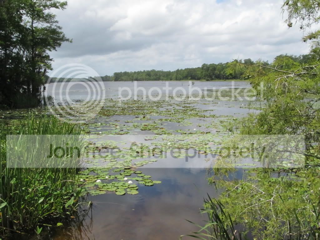 IMG_6365.jpg