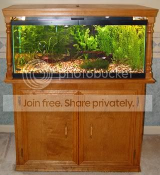 40gallon-1.jpg