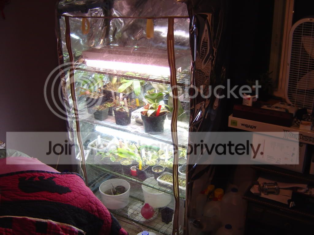 CPsetup2-28-09006.jpg
