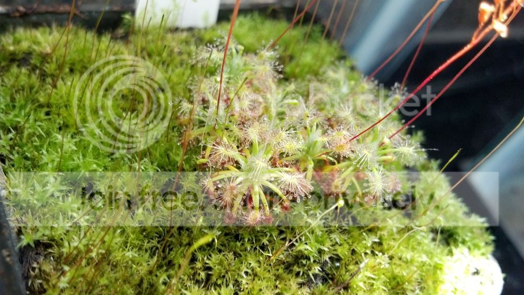 2012-06-01_15-51-08_679.jpg