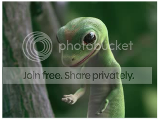 173989287_cb87536941_o.png