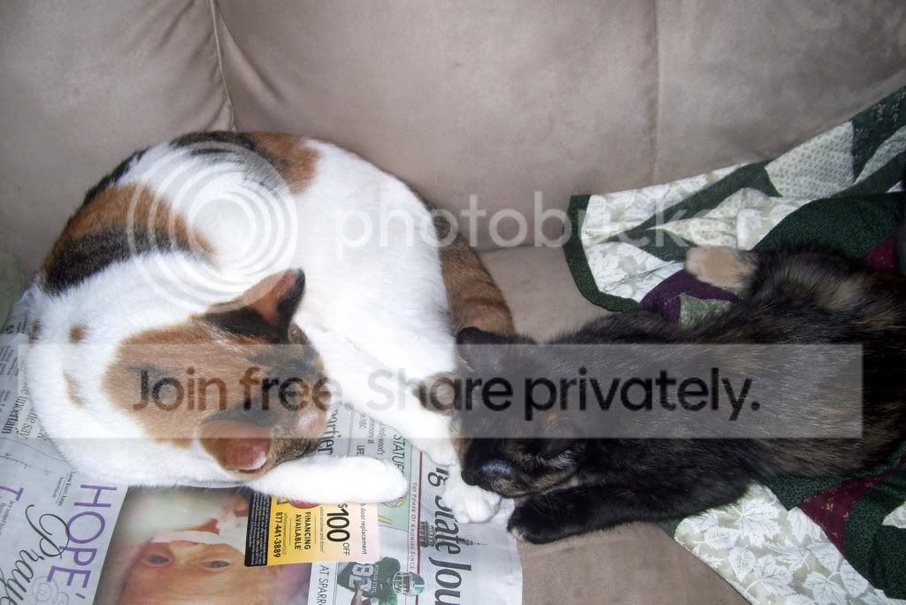 100_5363.jpg
