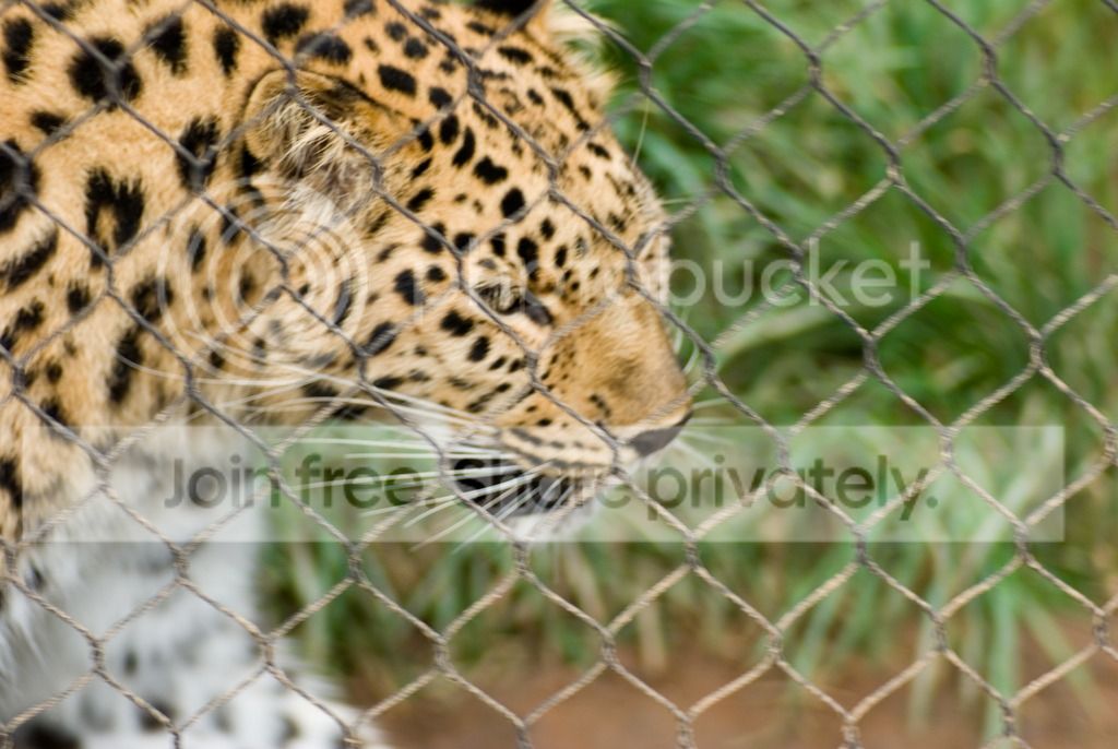 IMGP3441_zpswqfflsel.jpg