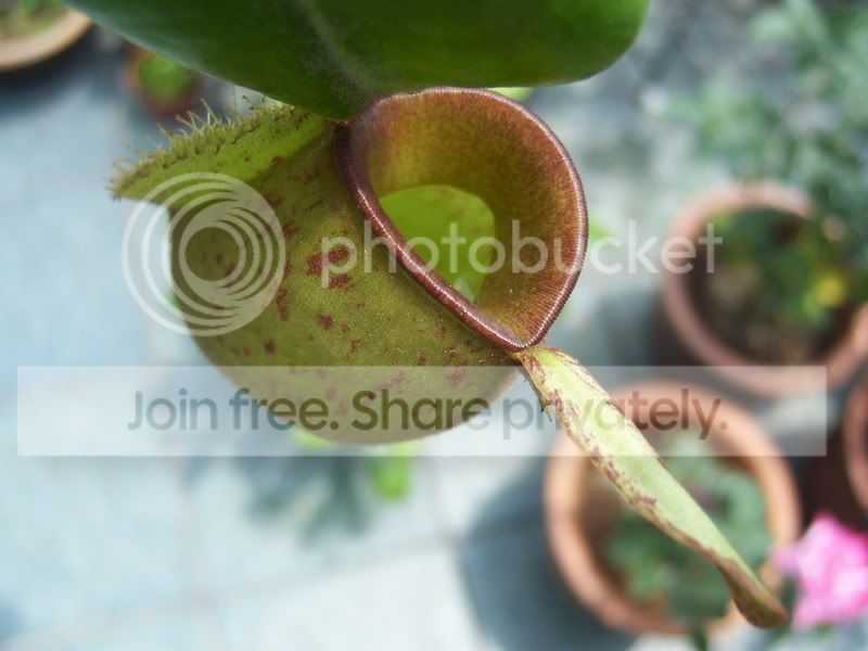 100_6750.jpg