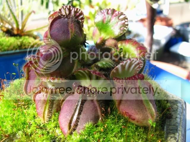 IMG_2781.jpg