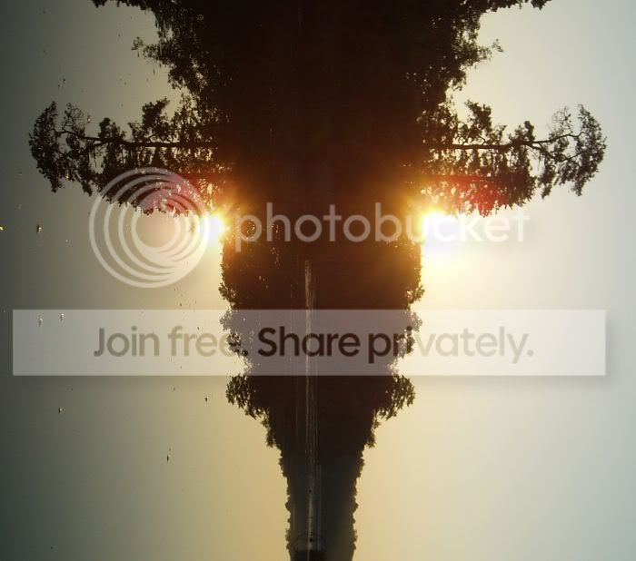 RorsatchReflectionRS.jpg