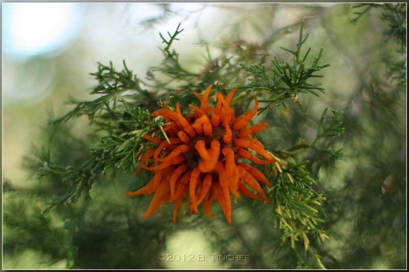 IMG_3077_hf.jpg