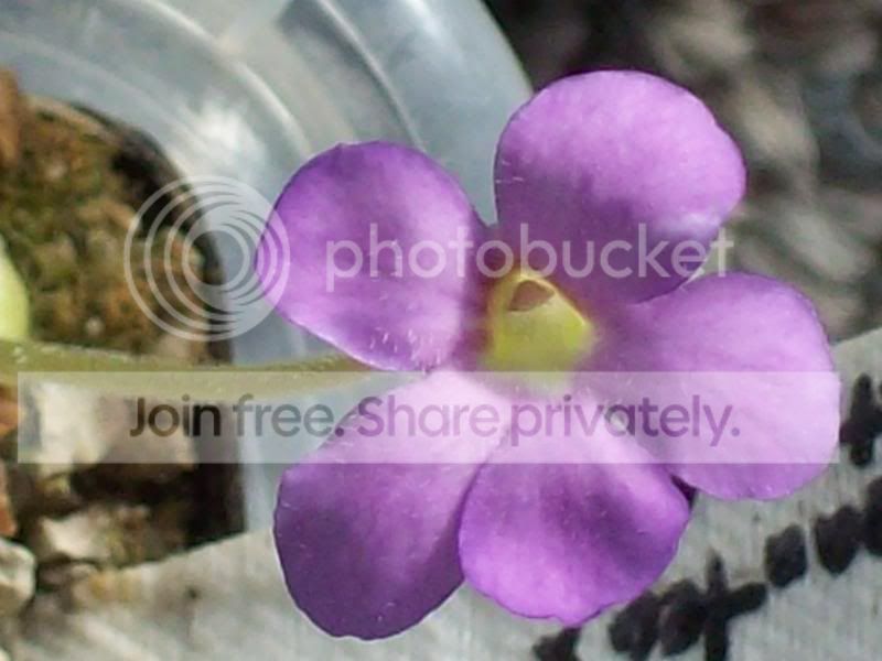 100_9075.jpg