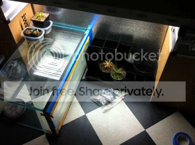 photo1-1.jpg