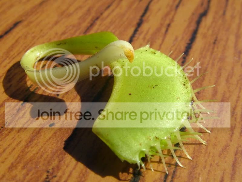 DSCF9201.jpg
