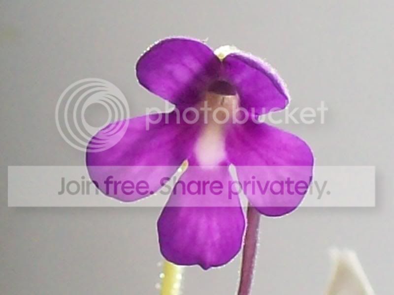100_9047.jpg