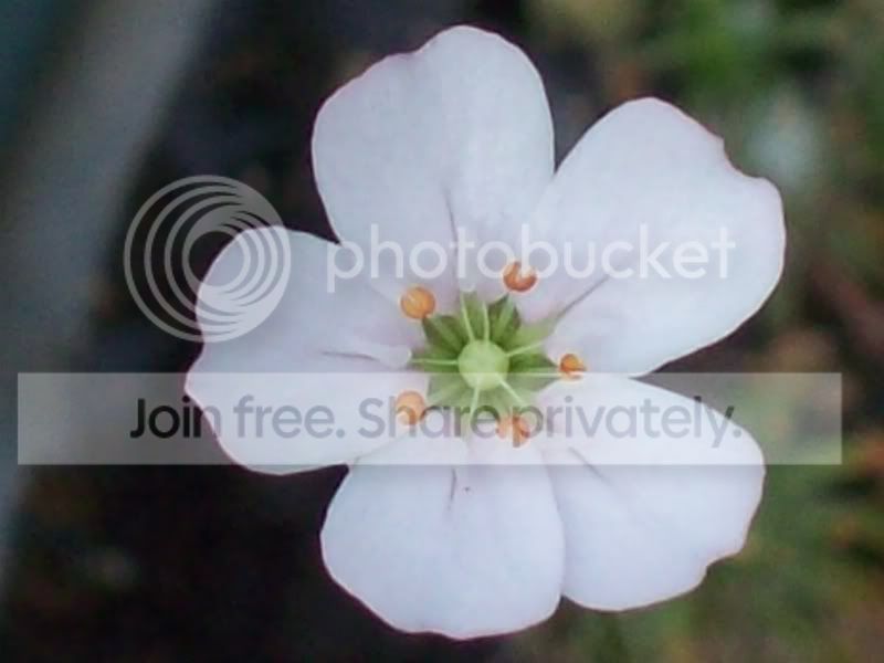 Picture010-8.jpg
