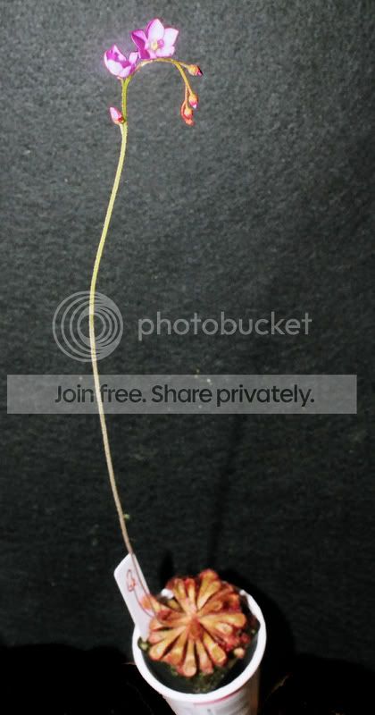 04020008copy.jpg