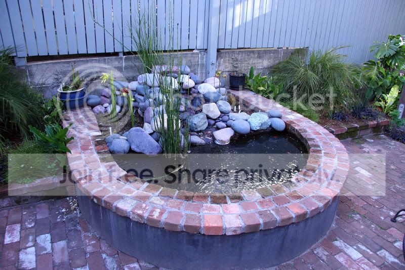 BogGarden2.jpg