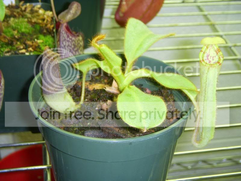 DSCN3455.jpg